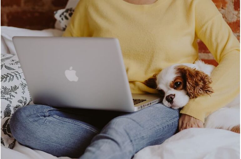 laptop-dog-woman-cavalier