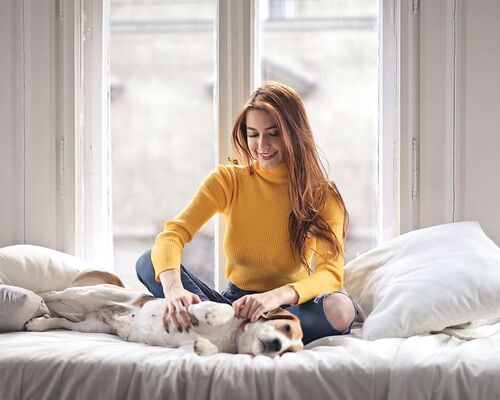 animal-beautiful-woman-bed-bedroom