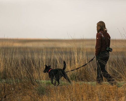person-dog-adventure-calm