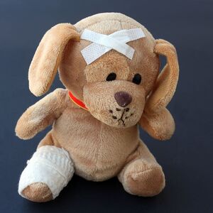 teddy-dog-stuffed-animal-ill