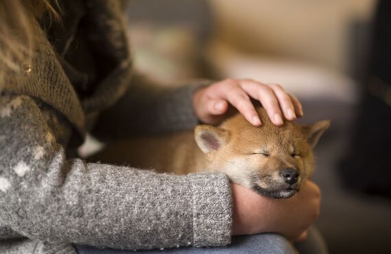 まちゼミで楽しくペット教室、光市のドッグトータルアドバイザーWithDog