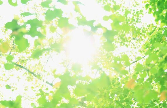 家族(犬)の皮膚のトラブル&ケアで　お困りの方　ご相談承ります!